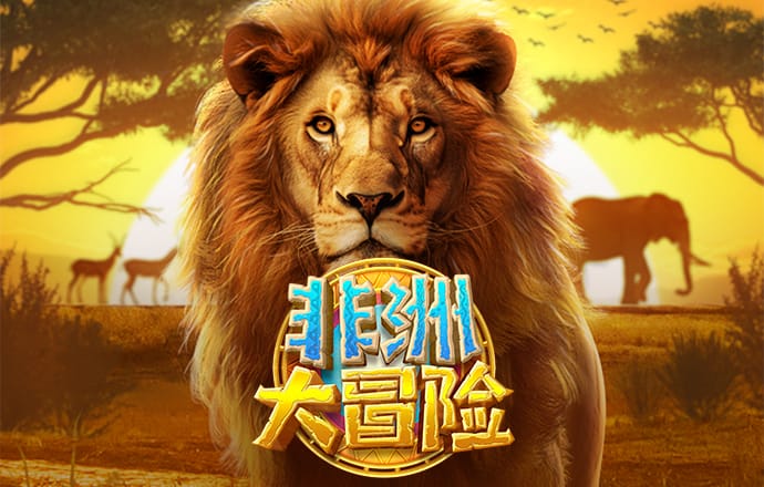 28圈注册网站链接